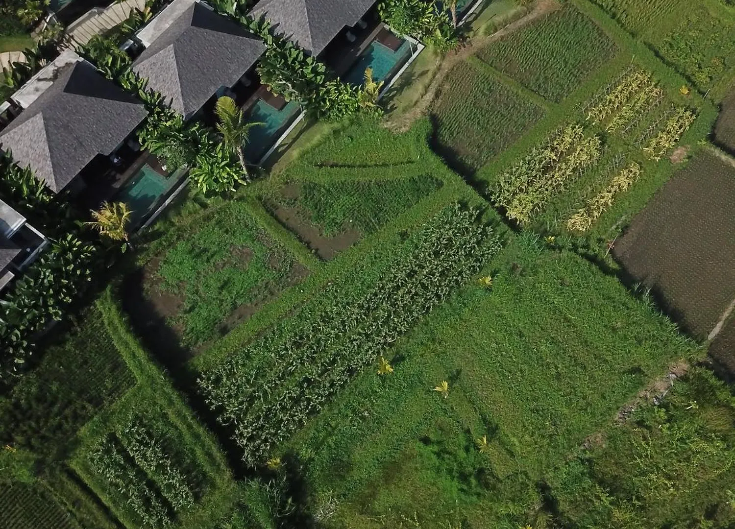 The Garcia Ubud Hotel & Resort 5*, Ubud (Bali)